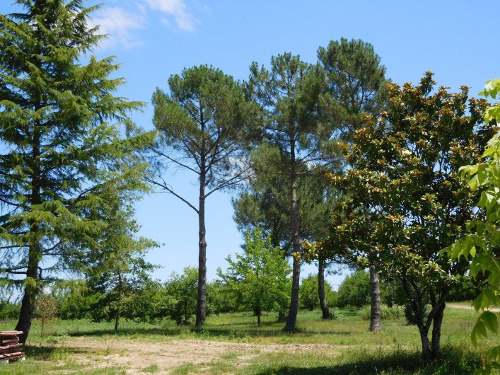 Location de vacances - Gîte à Esclottes - Le Parc
