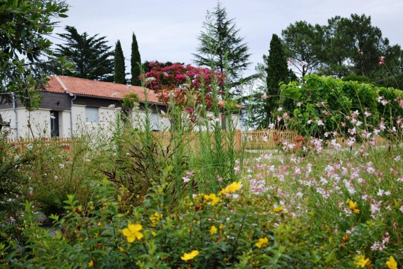 Location de vacances - Gîte à Esclottes - Les fleurs du printemps