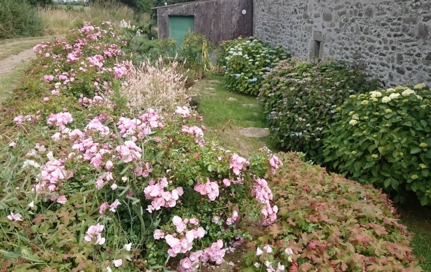 Location de vacances - Gîte à Tréogat - jardin