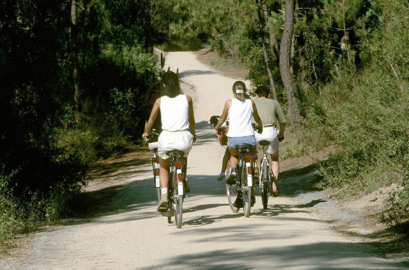 Location de vacances - Gîte à Les Clouzeaux - Randonnées à pied ou à vélo autour du gîte