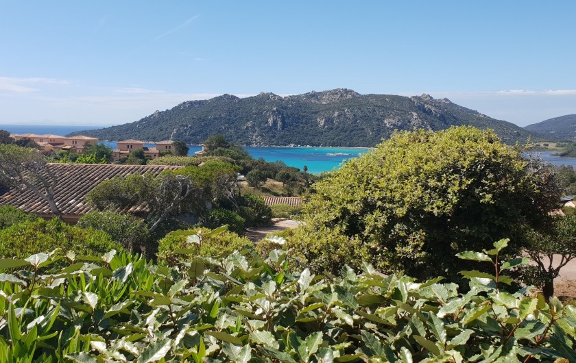 Location de vacances - Villa à Porto-Vecchio - Vue du jardin
