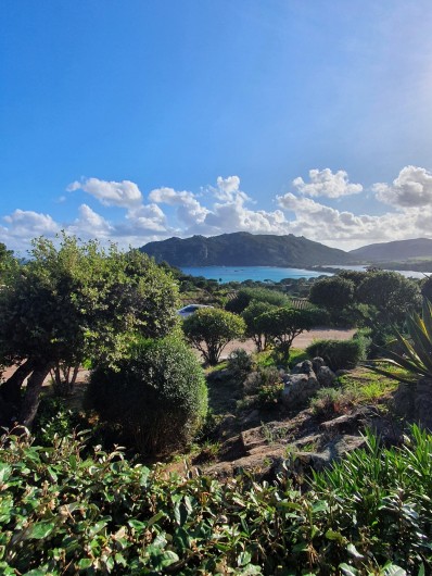 Location de vacances - Villa à Porto-Vecchio - vue du jardin