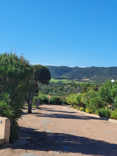 Location de vacances - Villa à Porto-Vecchio - Chemin /Route de la résidence