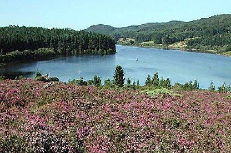 Location de vacances - Maison - Villa à Olargues