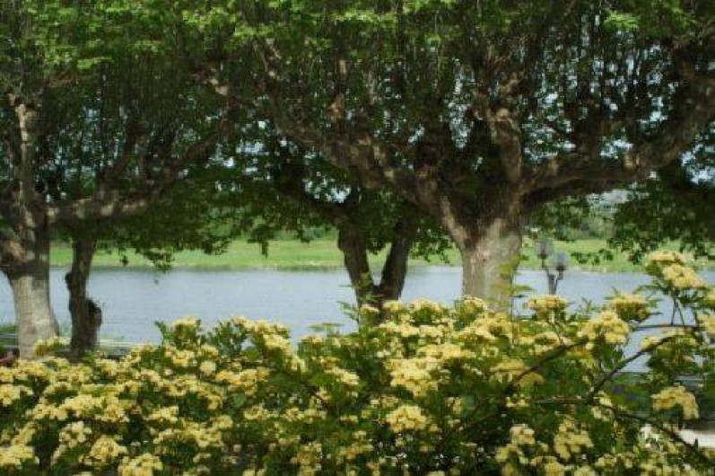 Location de vacances - Château - Manoir à Bourg-Saint-Andéol - vue sur rhône