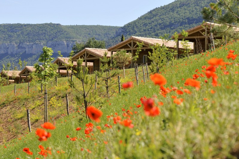 Location de vacances - Bungalow - Mobilhome à Millau - Chalets du Causse (extérieur)