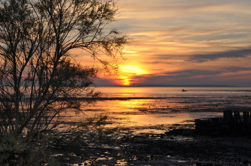 Location de vacances - Villa à Manhattan - coucher de soleil à marée basse face à la villa