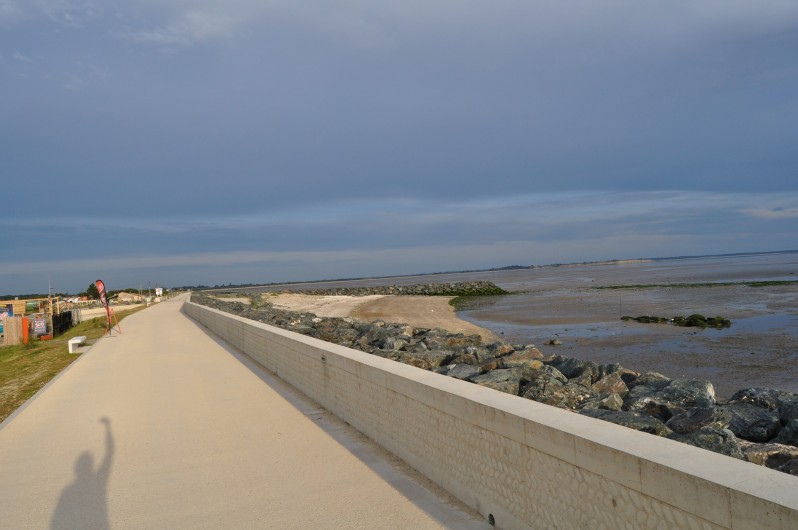 Location de vacances - Villa à Manhattan - Plage naturelle face au logement