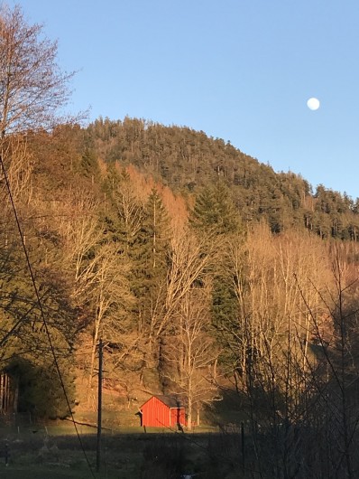 Location de vacances - Gîte à Raon-lès-Leau - Aux environs du gite