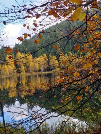 Location de vacances - Gîte à Raon-lès-Leau - Automne au lac de la Maix