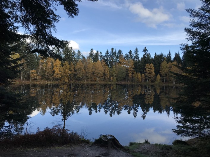 Location de vacances - Gîte à Raon-lès-Leau - Lac de la Maix