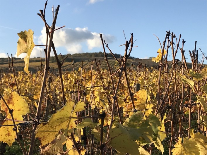 Location de vacances - Gîte à Raon-lès-Leau