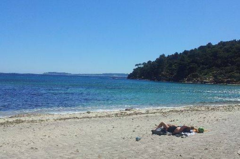 Location de vacances - Appartement à Le Lavandou