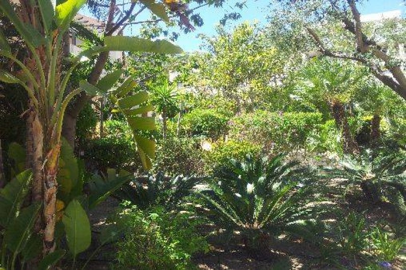 Location de vacances - Appartement à Le Lavandou