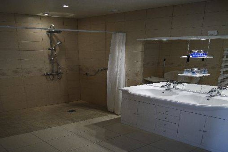 Location de vacances - Gîte à Neuvy-en-Mauges