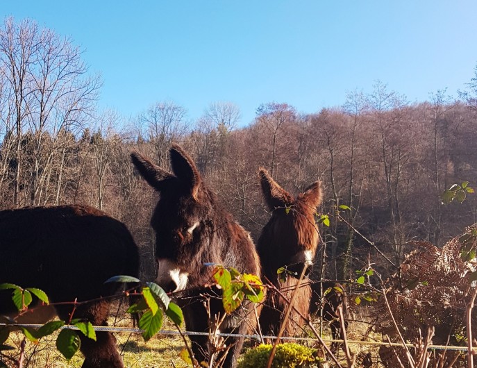 Location de vacances - Appartement à Sengouagnet - Au fil des ballades