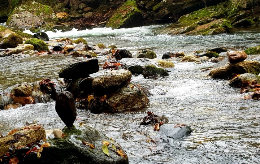 Location de vacances - Appartement à Sengouagnet - Le Ger pour se poser ou pêcher