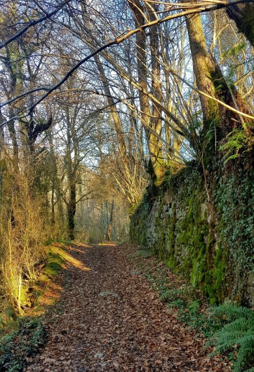 Location de vacances - Appartement à Sengouagnet - Des parcours randonnées pédestre et VTT