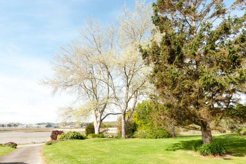 Location de vacances - Gîte à Ploubazlanec