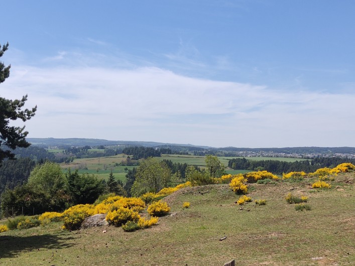 Location de vacances - Gîte à Saint-Chély-d'Apcher - Paysage