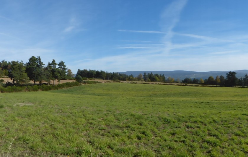 Location de vacances - Gîte à Saint-Chély-d'Apcher - Paysage