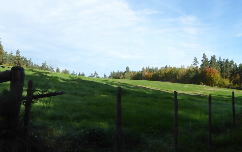 Location de vacances - Gîte à Saint-Chély-d'Apcher - Paysage