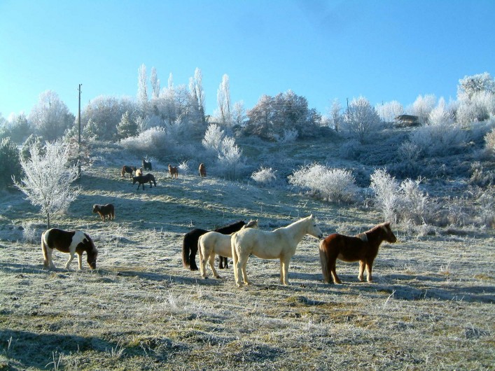 Location de vacances - Gîte à Lamaguère - La magie de l'hiver en liberté!