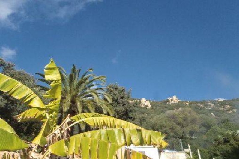 Location de vacances - Villa à Ajaccio