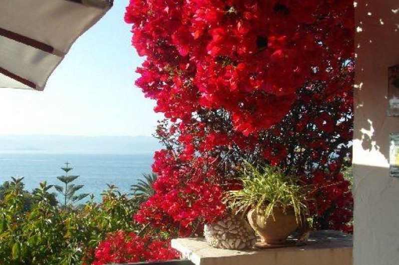 Location de vacances - Villa à Ajaccio