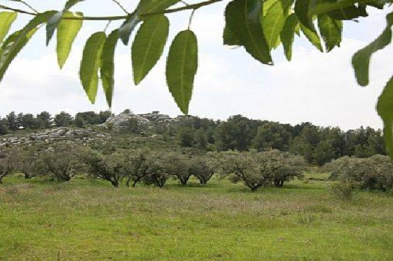Location de vacances - Maison - Villa à Paradou