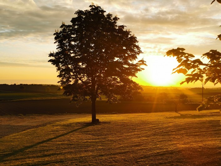 Location de vacances - Gîte à Garrigues