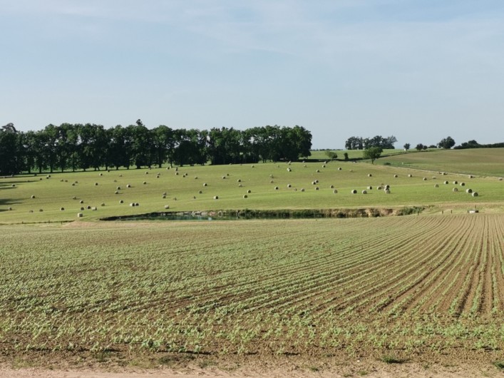 Location de vacances - Gîte à Garrigues