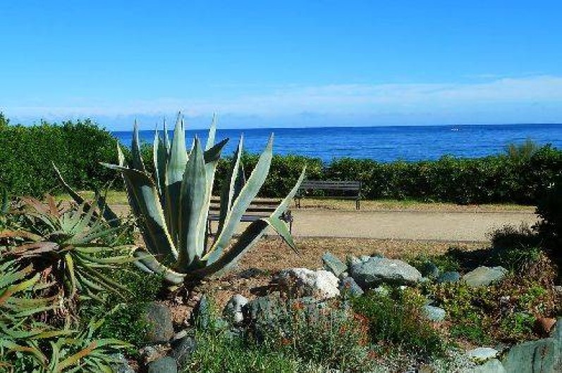 Location de vacances - Appartement à Saint-Florent