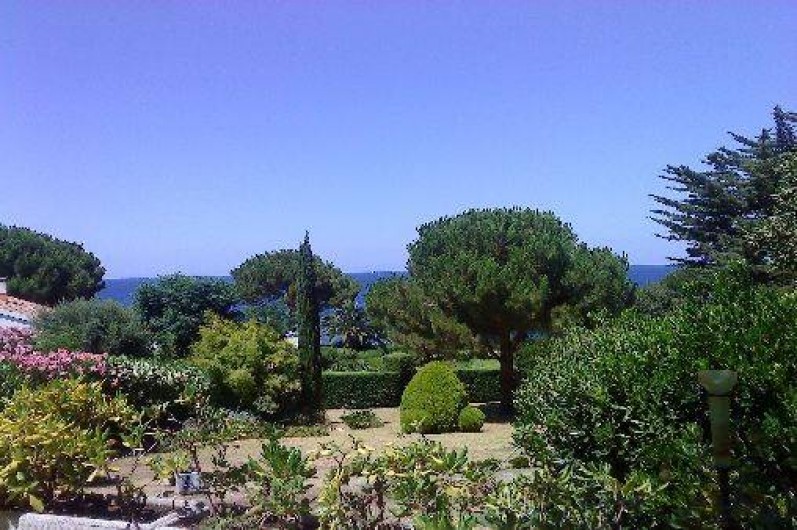 Location de vacances - Appartement à Saint-Florent