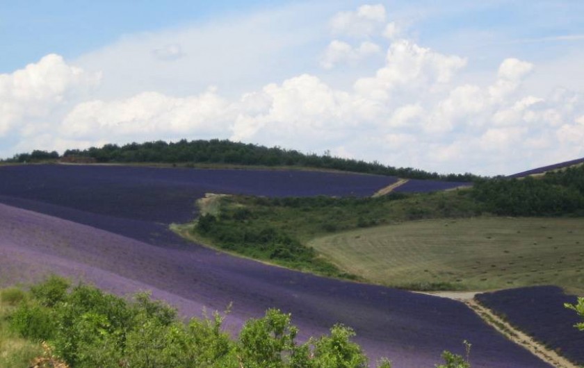 Location de vacances - Chambre d'hôtes à Montfort