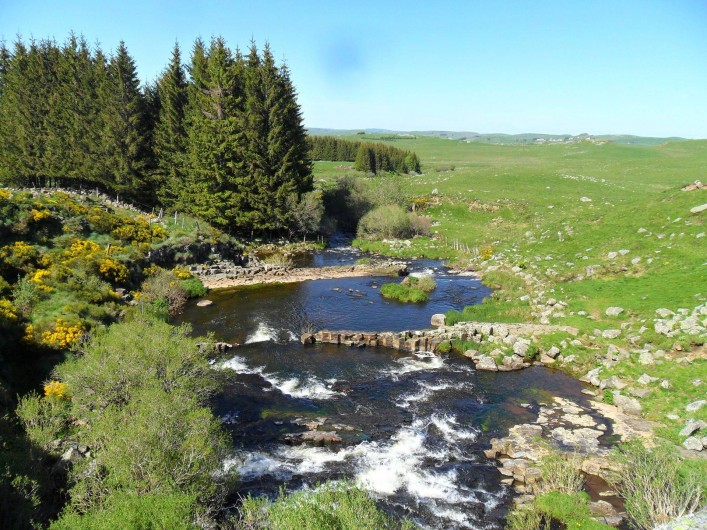 Location de vacances - Gîte à Saint-Pierre-de-Nogaret - Sur l'Aubrac
