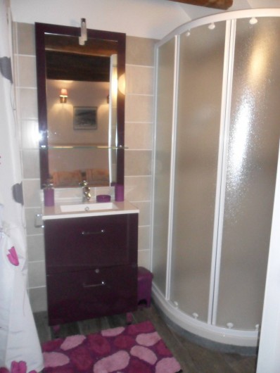 Location de vacances - Gîte à Saint-Pierre-de-Nogaret - Salle d'eau chambre "L'Aubrac"