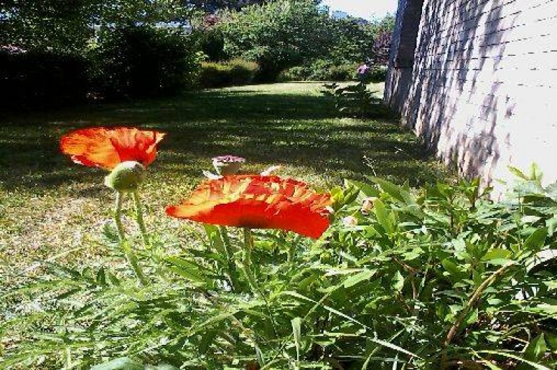 Location de vacances - Maison - Villa à Merlimont