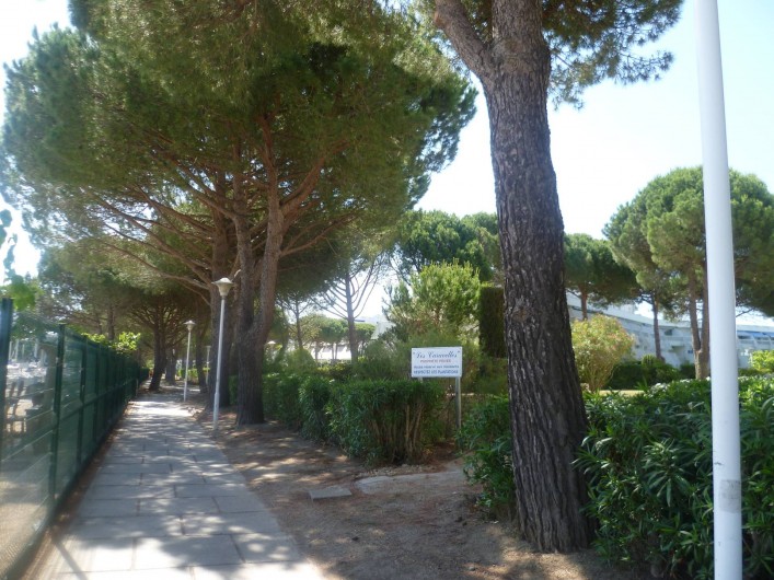 Location de vacances - Appartement à Le Grau-du-Roi - Chemin piéton pour se rendre à la plage