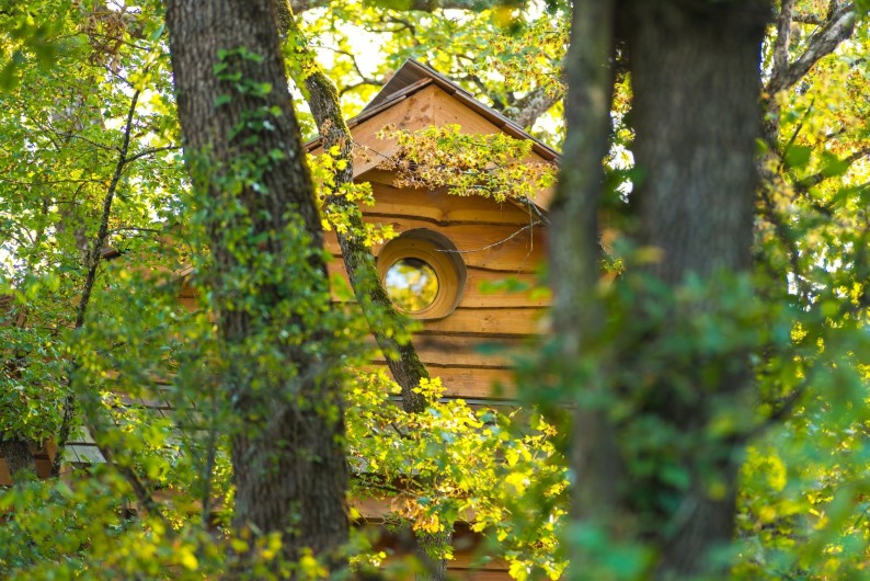 Location de vacances - Cabane dans les arbres à Clairac