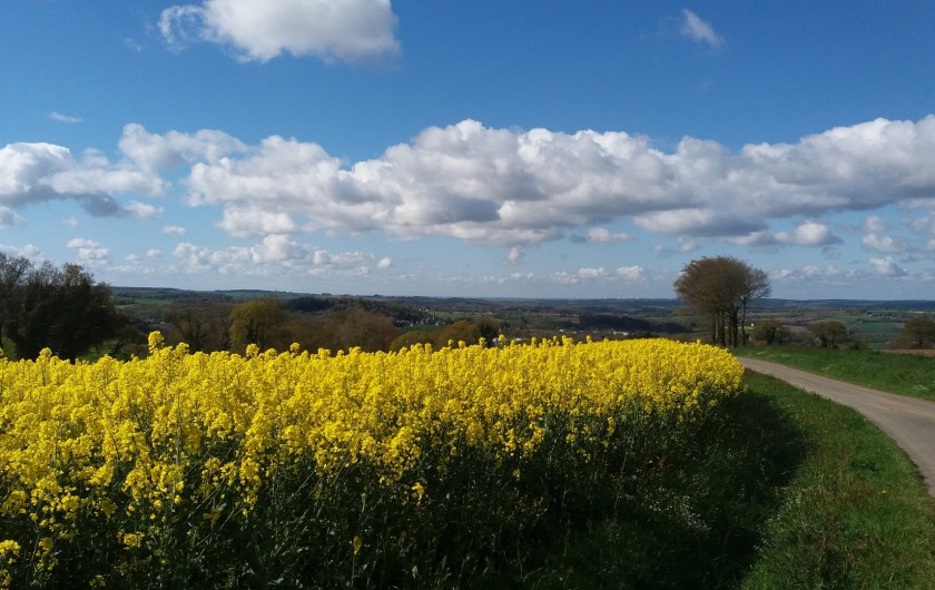 Location de vacances - Gîte à Saint-Gouéno - Campagne gouénovaise St Gouéno countryside