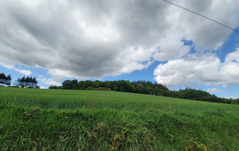 Location de vacances - Gîte à Saint-Gouéno - Campagne gouénovaise St Gouéno countryside