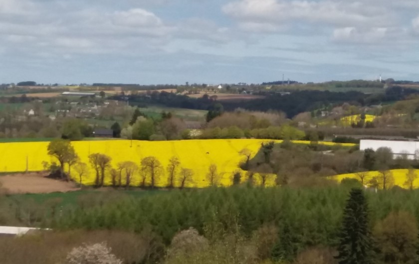 Location de vacances - Gîte à Saint-Gouéno - Campagne gouénovaise St Gouéno countryside